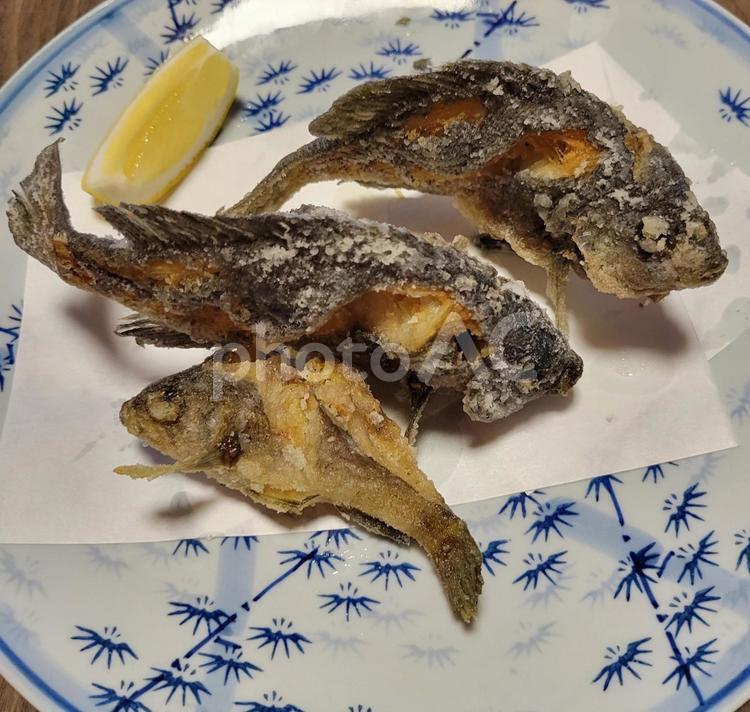 グレとカサゴの唐揚げ グレ,カサゴ,唐揚げの写真素材