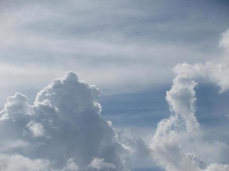 雲 漆 雲 漆の写真