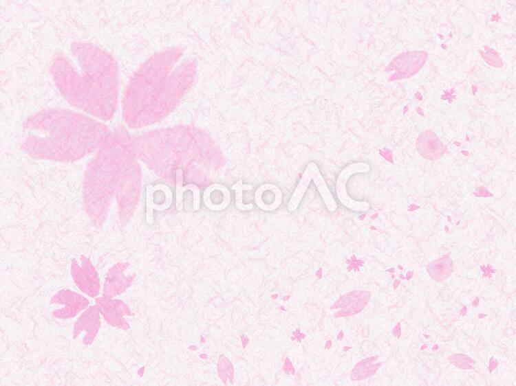 和紙の桜イメージ 和紙,桜,3月の写真素材