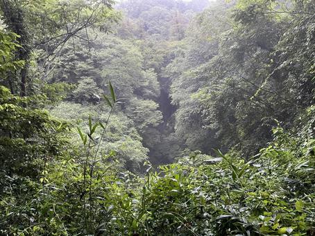 羅生門 岡山県,指定天然記念物,羅生門の写真素材