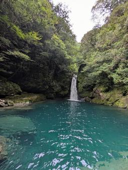 仁淀ブルーが美しいにこ淵(縦) 仁淀ブルーが美しいにこ淵(縦)の写真