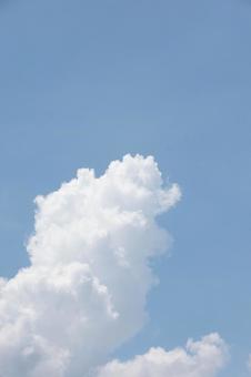 夏の雲 夏の雲の写真