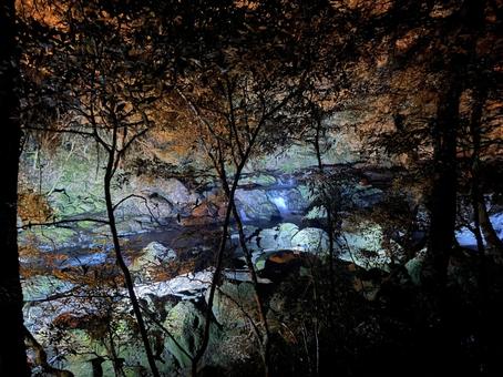 菊池渓谷 菊池渓谷,熊本,ライトアップの写真素材