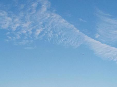 9月の空 天使の羽みたいな雲 9月の空 天使の羽みたいな雲の写真
