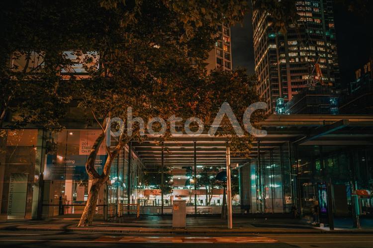夜の静かなカフェ通り（シドニー） 夜景,スターバックス,カフェの写真素材