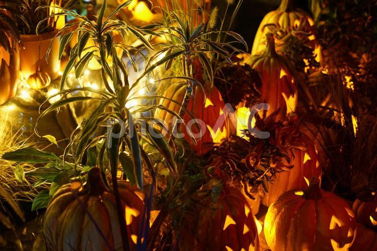 ハロウィンのジャックランタンのイメージ ジャックランタン,かぼちゃ,ハロウィンの写真素材