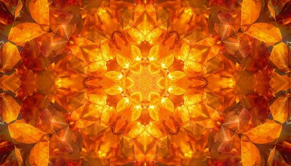 光に包まれた紅葉の幻想万華鏡 光に包まれた紅葉の幻想万華鏡の写真