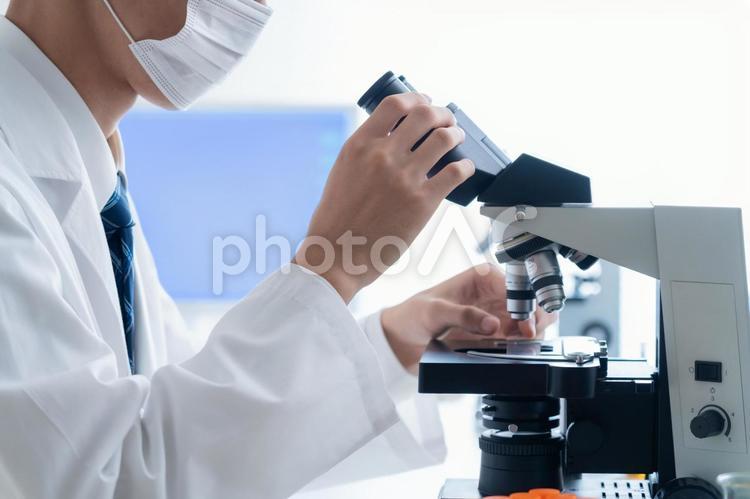 研究所で実験をする研究者 研究,実験,科学の写真素材
