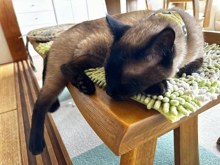 If I can sleep there, I can't sit., JPG If I can sleep there, I can't sit., JPG