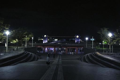 夜の公園への入り口 夜の公園への入り口 夜,公園,広場の写真素材