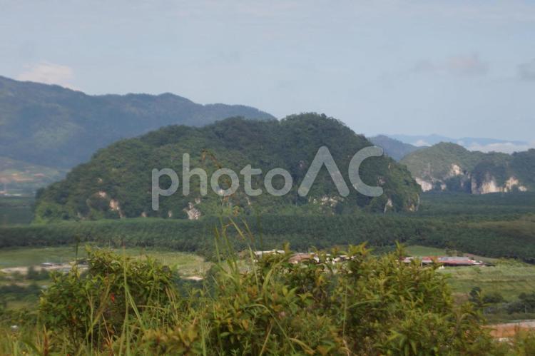 山の上からの風景 山の上,風景,木の写真素材