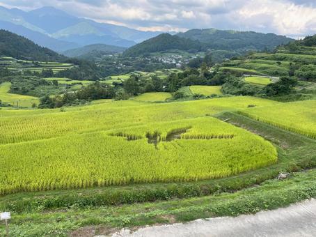吉延の棚田 吉延の棚田 高知県,土佐,天空の郷の写真素材