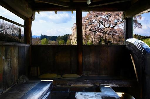 A spectacular open-air bath that you can enter while looking at the cherry blossoms, JPG A spectacular open-air bath that you can enter while looking at the cherry blossoms, hot spring, outdoor bath, bath, JPG