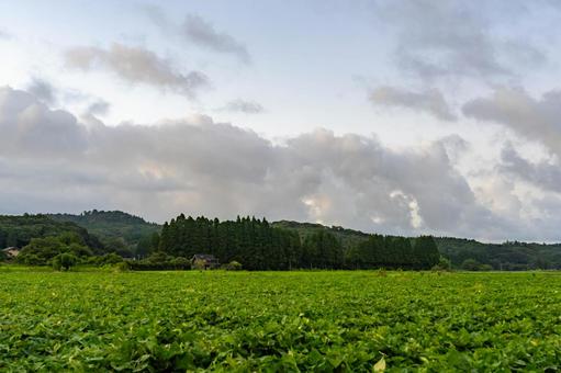 雲のある風景 雲のある風景の写真