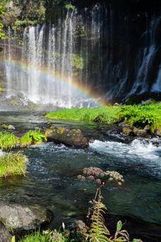 静岡 虹がかかる白糸の滝 静岡 虹がかかる白糸の滝の写真