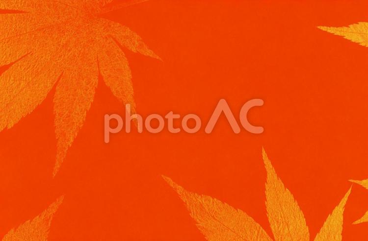 オレンジベースの和紙と紅葉の背景 背景,秋,黄色の写真素材