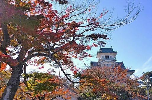 長浜城 城,長浜,長浜城の写真素材