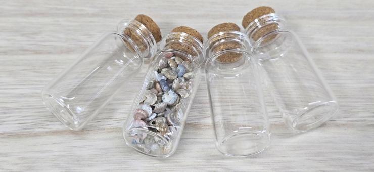 小さな貝殻とガラス瓶 小さな貝殻とガラス瓶 ガラス瓶,貝殻,小さな貝殻の写真素材