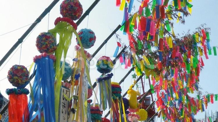 七夕祭り（湘南平塚） 七夕まつり,七夕,七夕祭りの写真素材