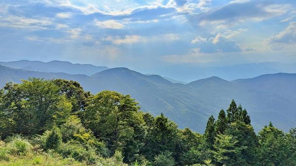 森に降り注ぐ光と白い雲 山,森,林の写真素材