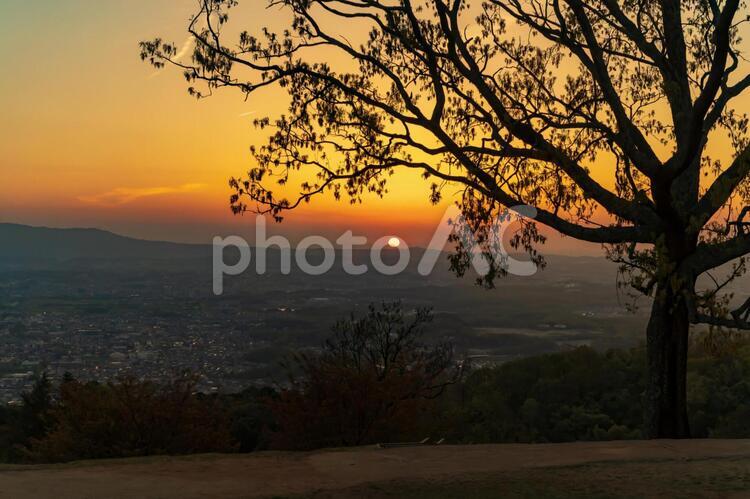 若草山からの奈良市内の夕景2 奈良,若草山,夕景の写真素材
