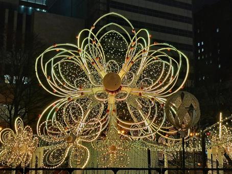 2025ホワイトイルミネーション　札幌 札幌,イルミネーション,準備の写真素材