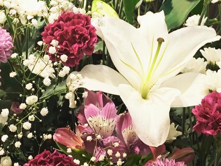 スタンド花13 スタンド花13 カサブランカ,マーガレット,ポットマムの写真素材
