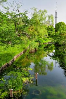 Mukojima Hyakkaen Gardens, Sumida Ward (Tokyo), JPG Mukojima Hyakkaen Gardens, Sumida Ward (Tokyo), JPG
