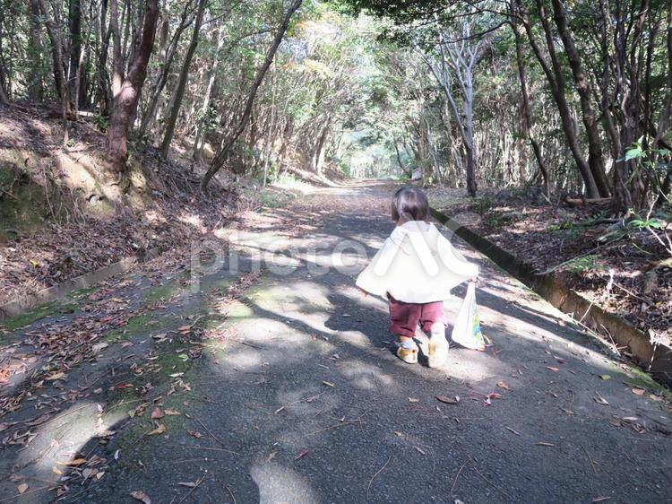 森をお散歩 1歳,お出掛け,さえずりの写真素材