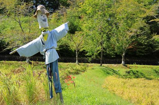 稲を守る案山子-3 稲を守る案山子-3の写真