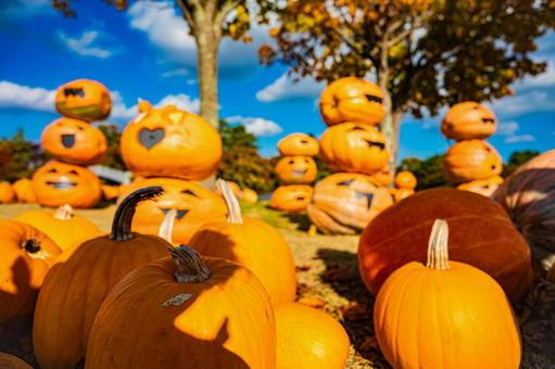 北海道　大沼国定公園　秋の風景 ハロウィン,カボチャ,秋の写真素材