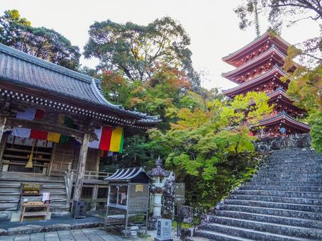 【高知県】高知市・竹林寺 竹林寺,寺院,お遍路の写真素材