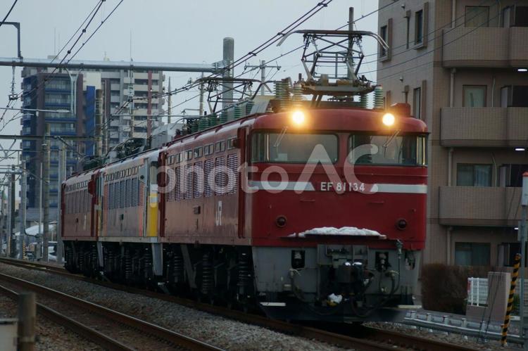 甲種輸送　機関車 カシオペア,電気機関車,機関車の写真素材
