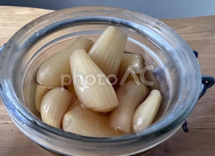 自家製らっきょう 自家製,らっきょう,漬物の写真素材