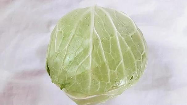 きゃべつ1玉・2 きゃべつ1玉・2 キャベツ,野菜,食べ物の写真素材