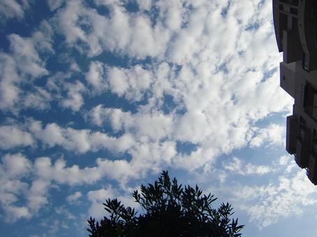 November Clouds-44, JPG