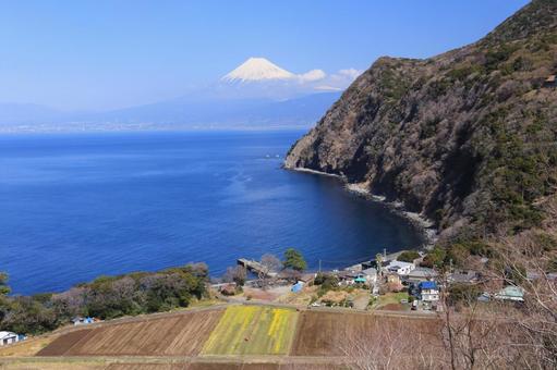 井田からの富士山 井田からの富士山の写真