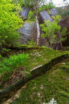 250527昇仙峡 山梨県,甲府市,昇仙峡の写真素材