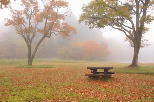 雨の日の公園の写真