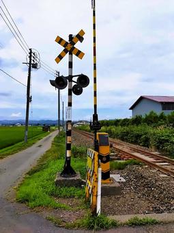 Local Line 7 in July 2025, JPG