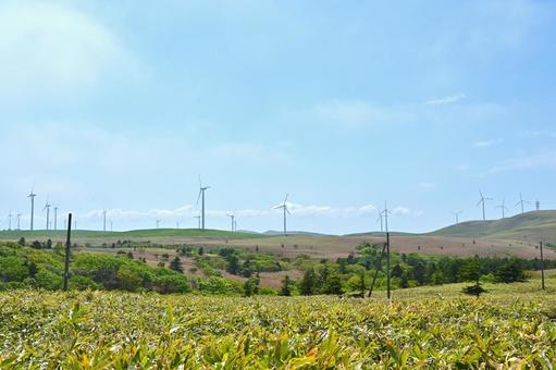 夏の風を感じる北海道の宗谷丘陵の風力発電 夏の風を感じる北海道の宗谷丘陵の風力発電 宗谷丘陵,青空,風車の写真素材