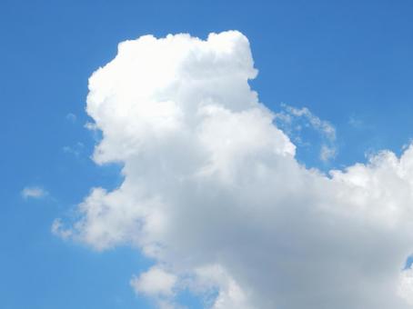 【風景写真】夏空の写真