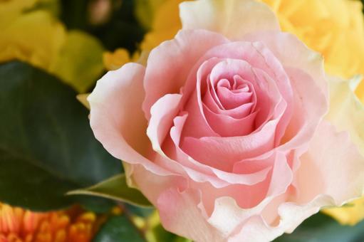 カラフルな花束 カラフルな花束 ばら,薔薇,フラワーの写真素材