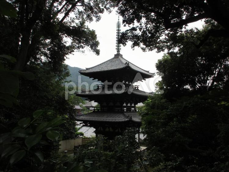 奈良県-當麻寺-国宝-西塔 當麻寺,寺,二上山の写真素材
