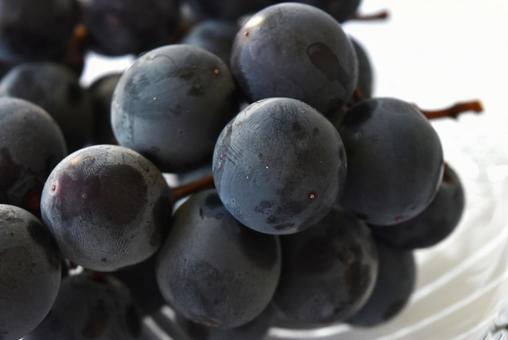 Kyoho grapes close-up, JPG Kyoho grapes close-up, JPG