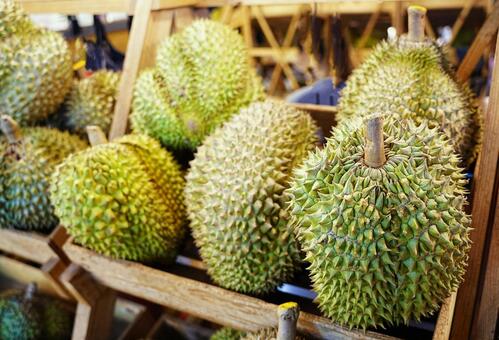 ドリアン４ ドリアン,南国,フルーツの写真素材