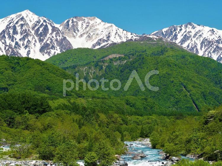 残雪と新緑の白馬三山 自然,風景,景色の写真素材