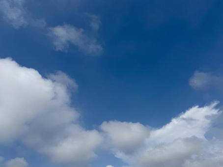 青空 青空 空,青空,背景の写真素材