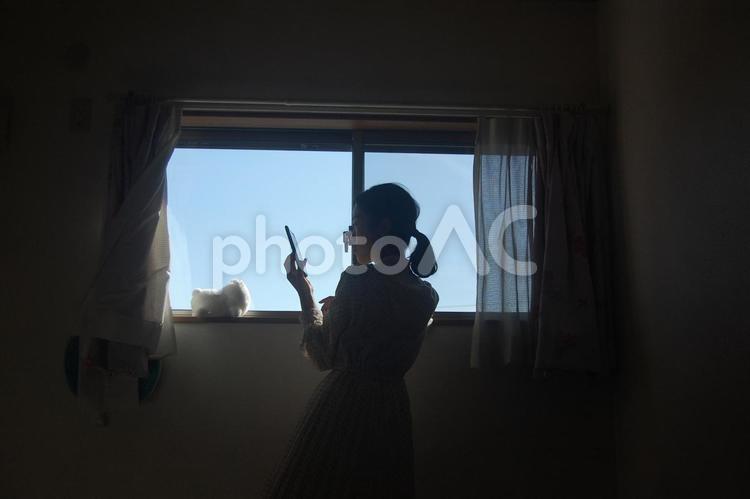 窓辺でスマホを見る女性のシルエット 窓辺,女性,スマホの写真素材