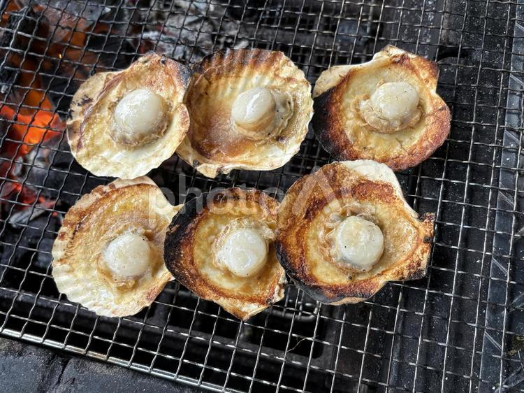 帆立の網焼き 01 帆立,ホタテ,貝の写真素材